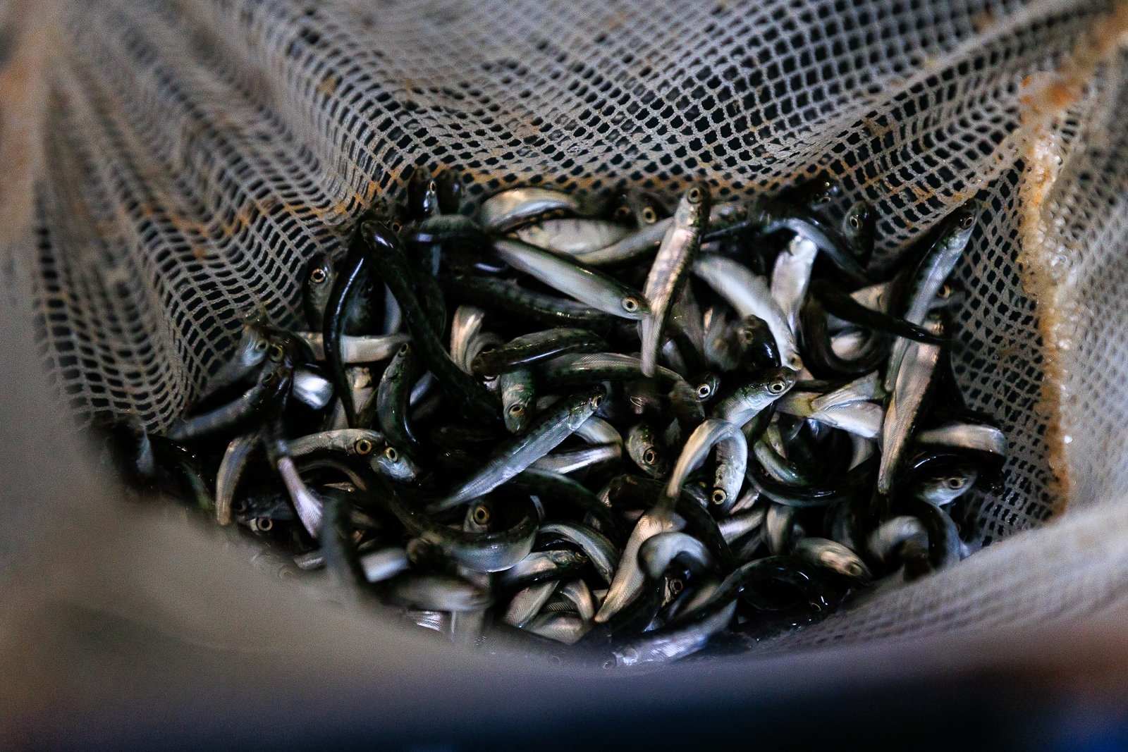 Тематическое фото Евгений  Кулешов, ИА PrimaMedia.ru